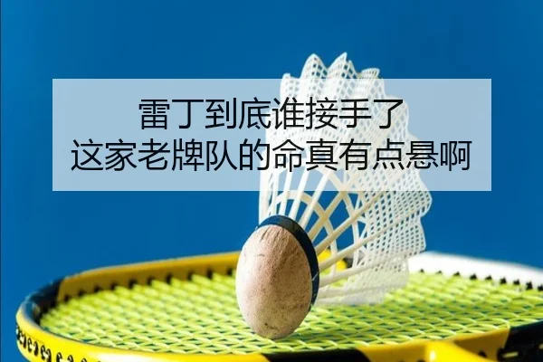 雷丁到底谁接手了 这家老牌队的命真有点悬啊