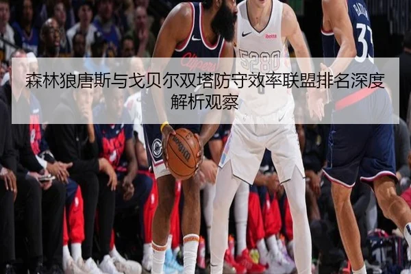 森林狼唐斯与戈贝尔双塔防守效率联盟排名深度解析观察